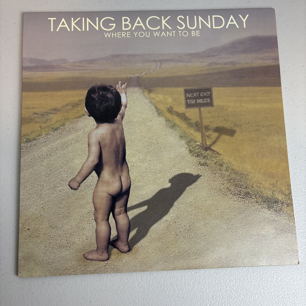 Taking Back Sunday Where You Want to Be 12 Inch Black Vinyl Record LP